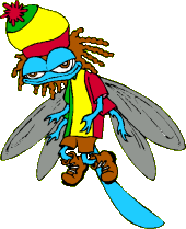 Drug Fly